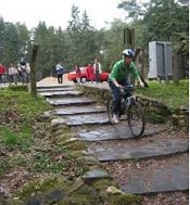 Avontuurlijk uitje op de Veluwe