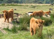 uitje GPS fietstocht Drenthe